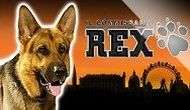 Игровой автомат Rex от Максбетслотс - онлайн казино Maxbetslots